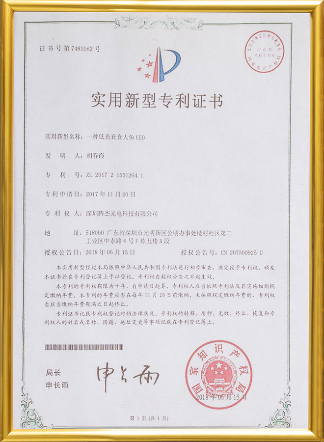 實(shí)用新型專利證書3