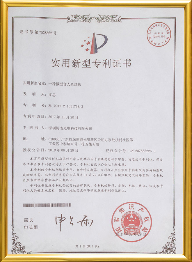 實(shí)用新型專利證書9